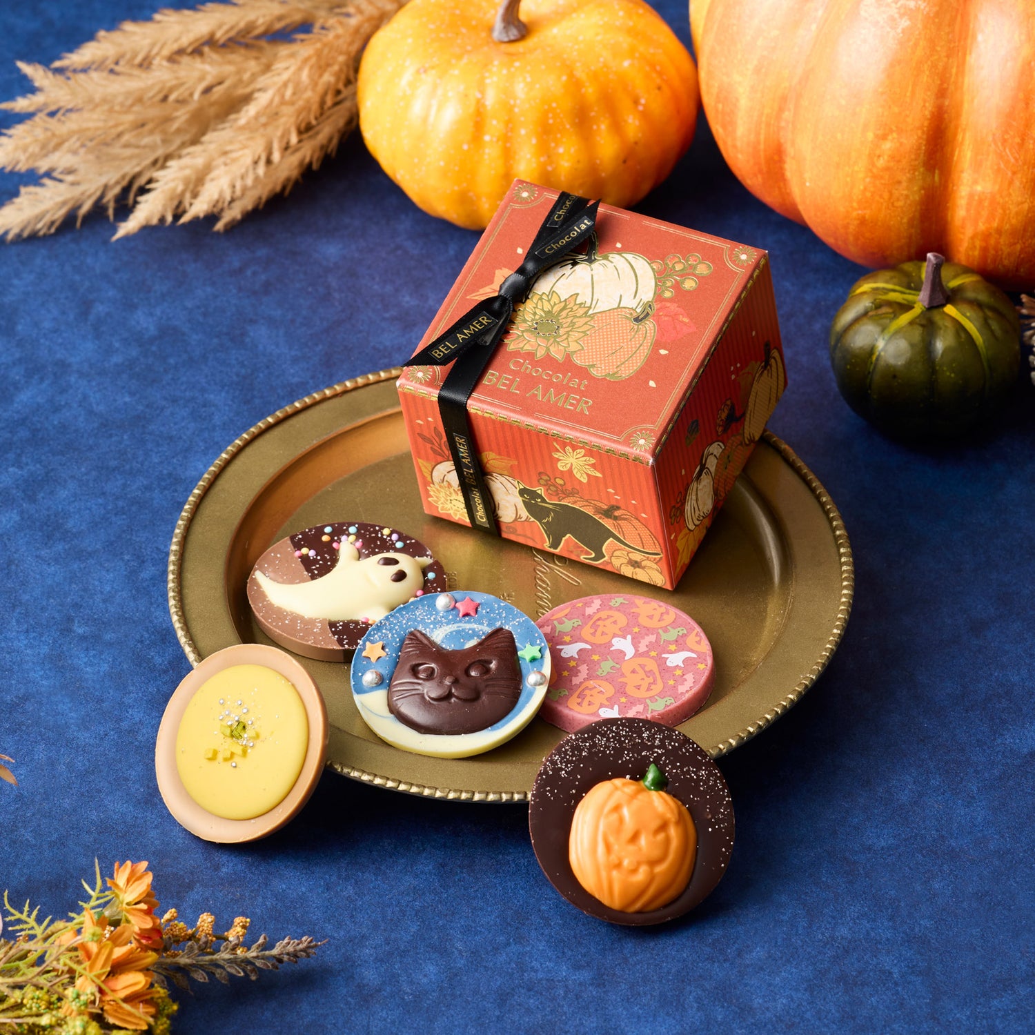 【ポイント2倍】ハロウィン パレショコラ 5枚