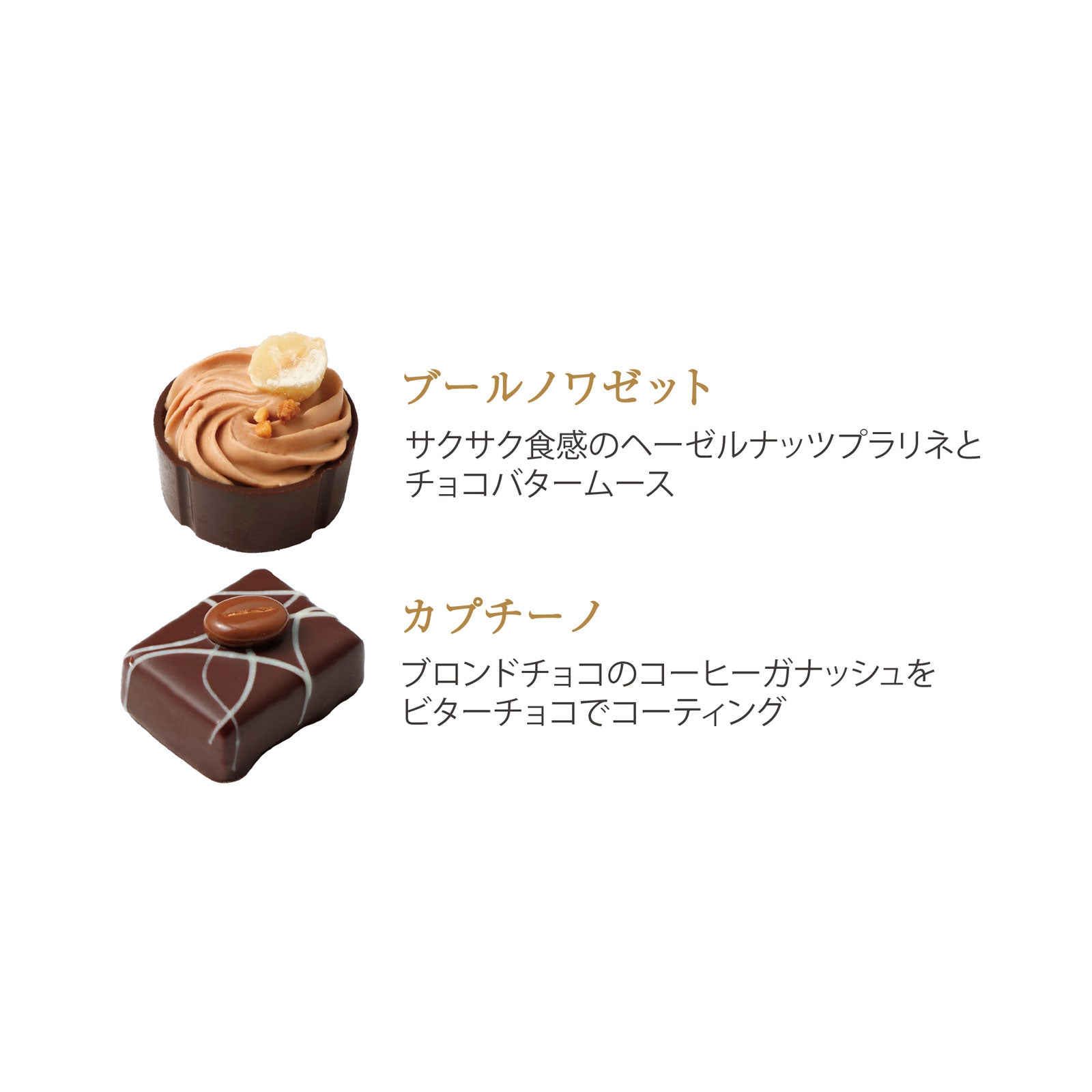 ショコラギフト 6個