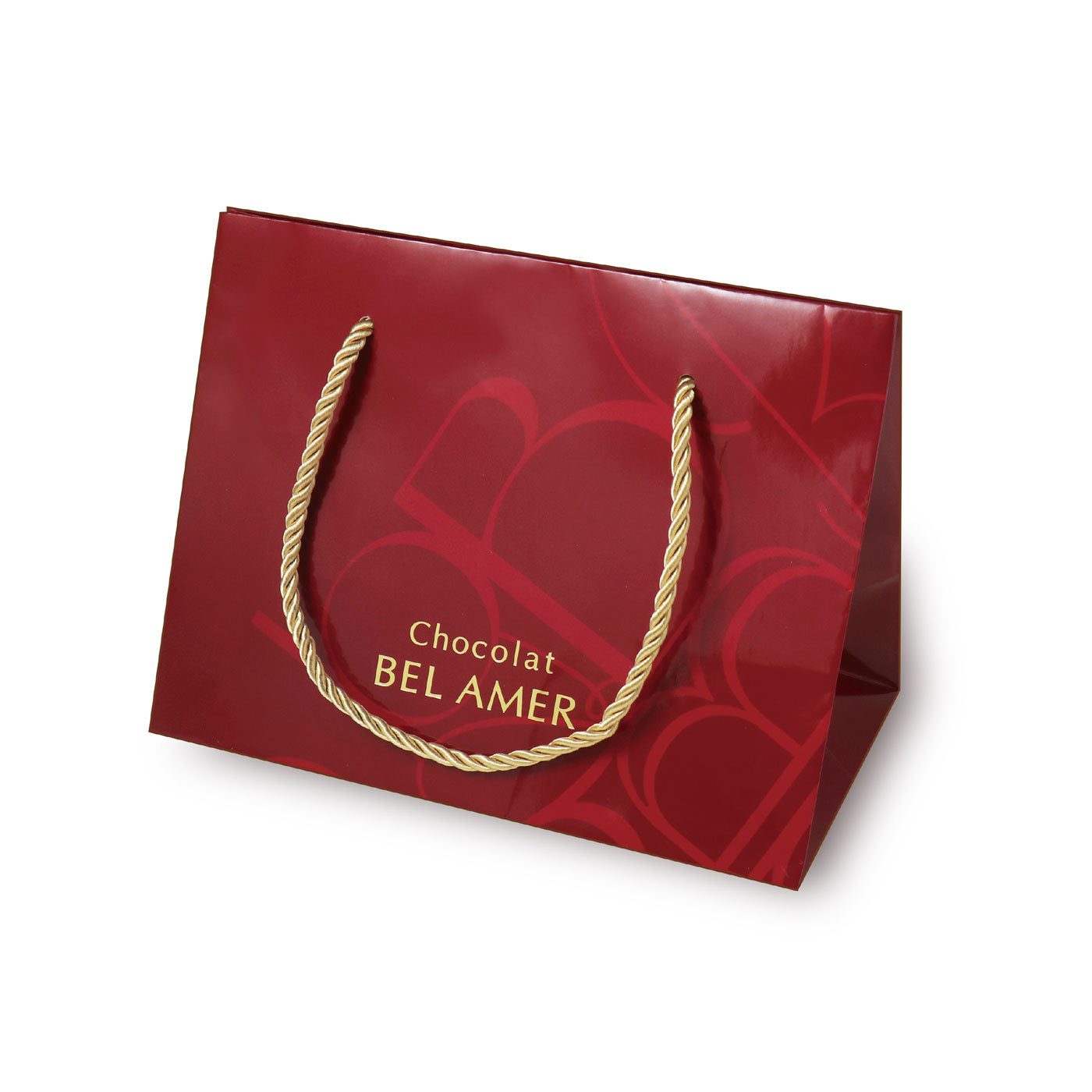 【予約受付中】プレミアムビターショコラ 9個