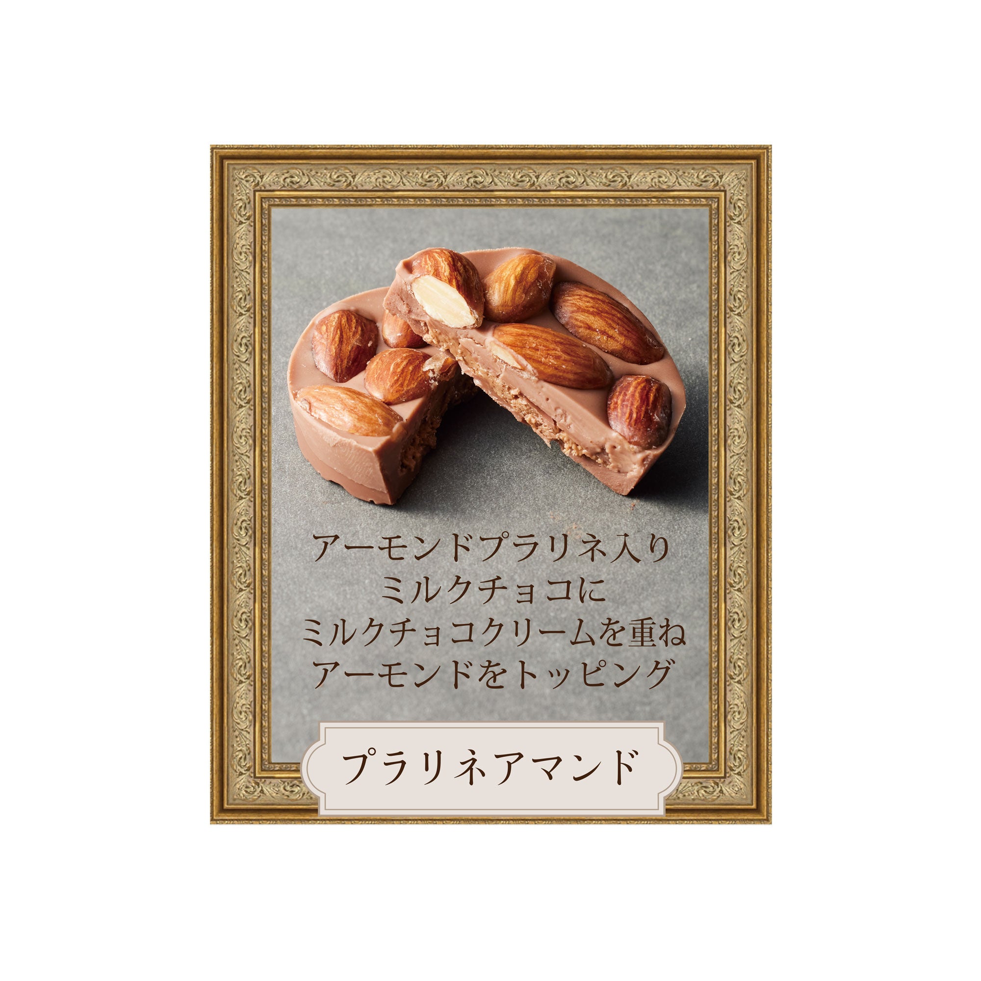 プレミアムパレショコラ 6枚