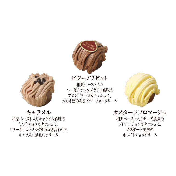 【予約受付中】モンブランショコラ