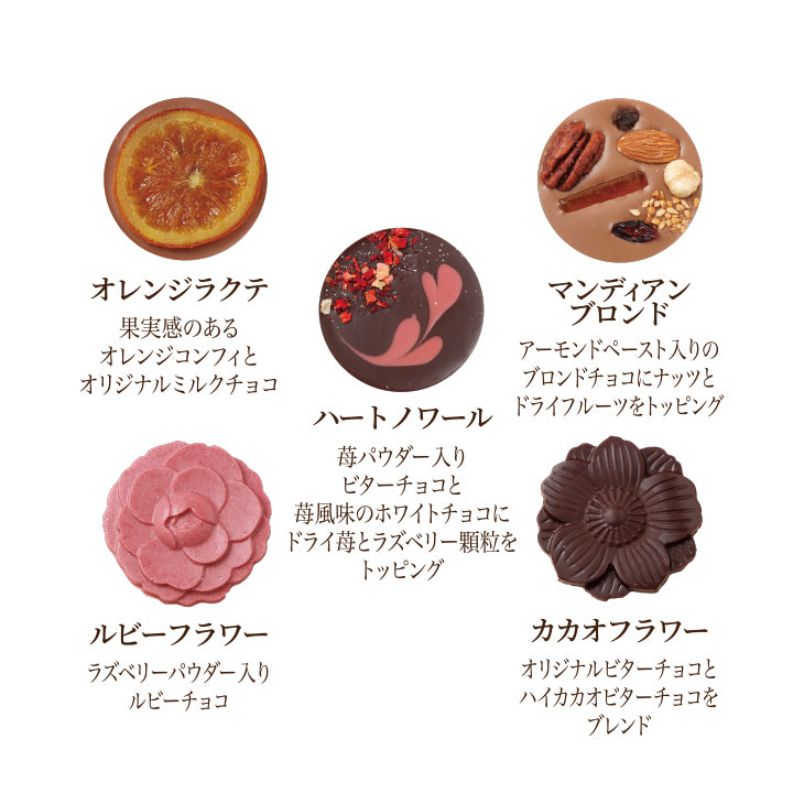 【予約受付中】アルティザンパレショコラ 5枚