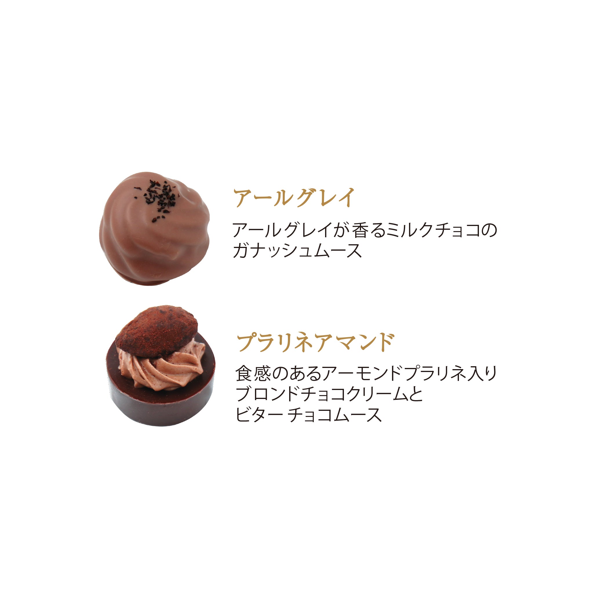 ショコラギフト 20個