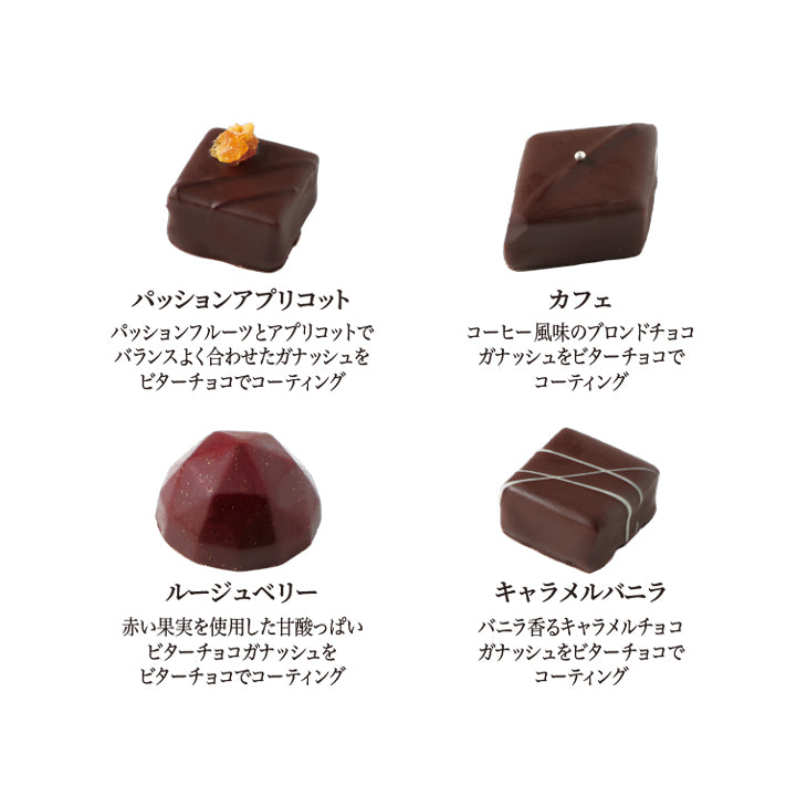 【予約受付中】プレミアムビターショコラ 9個