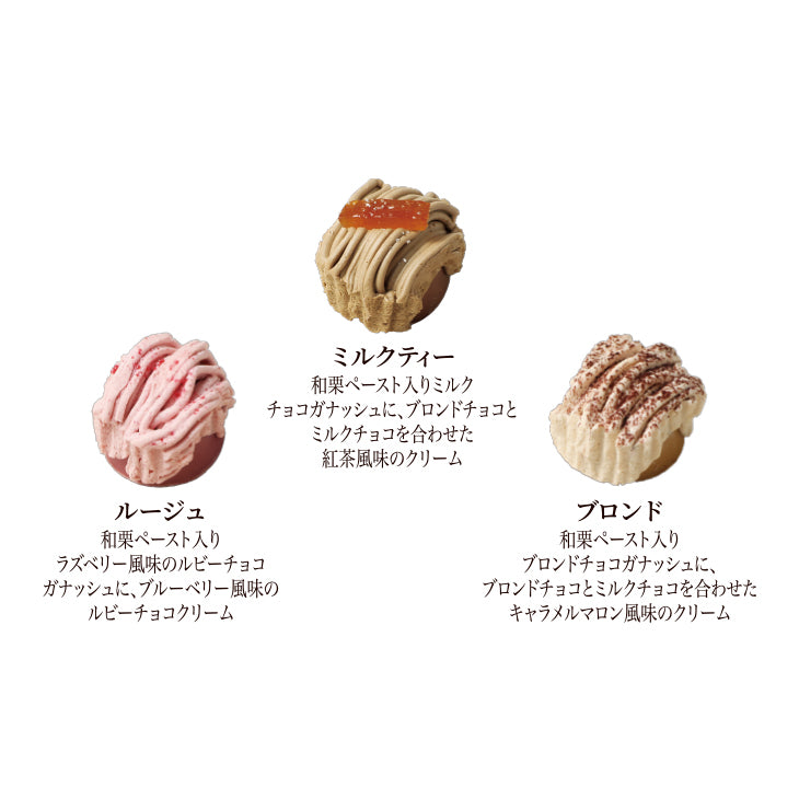 【予約受付中】モンブランショコラ