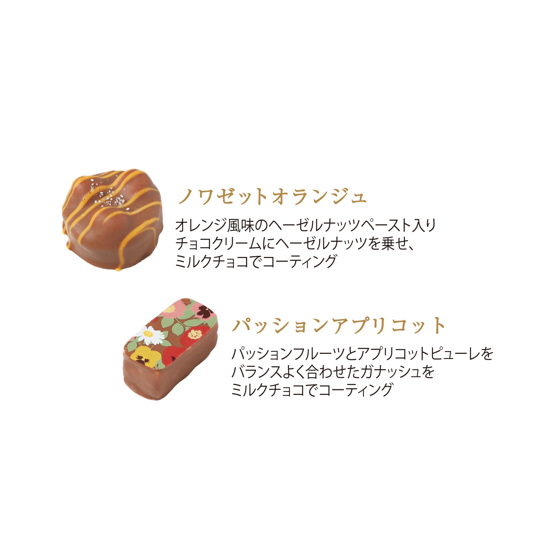 【予約受付中】ショコラギフト 6個