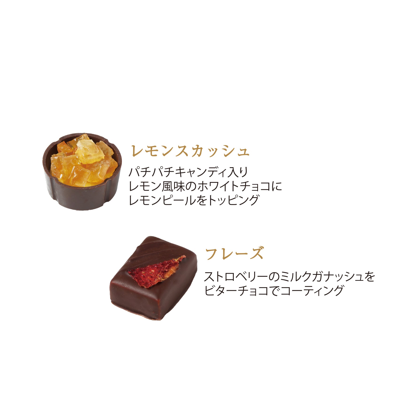 【予約受付中】ショコラギフト 6個