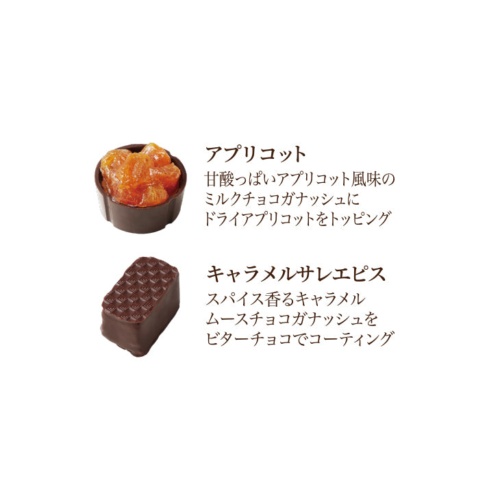 【予約受付中】アルティザンショコラアソート