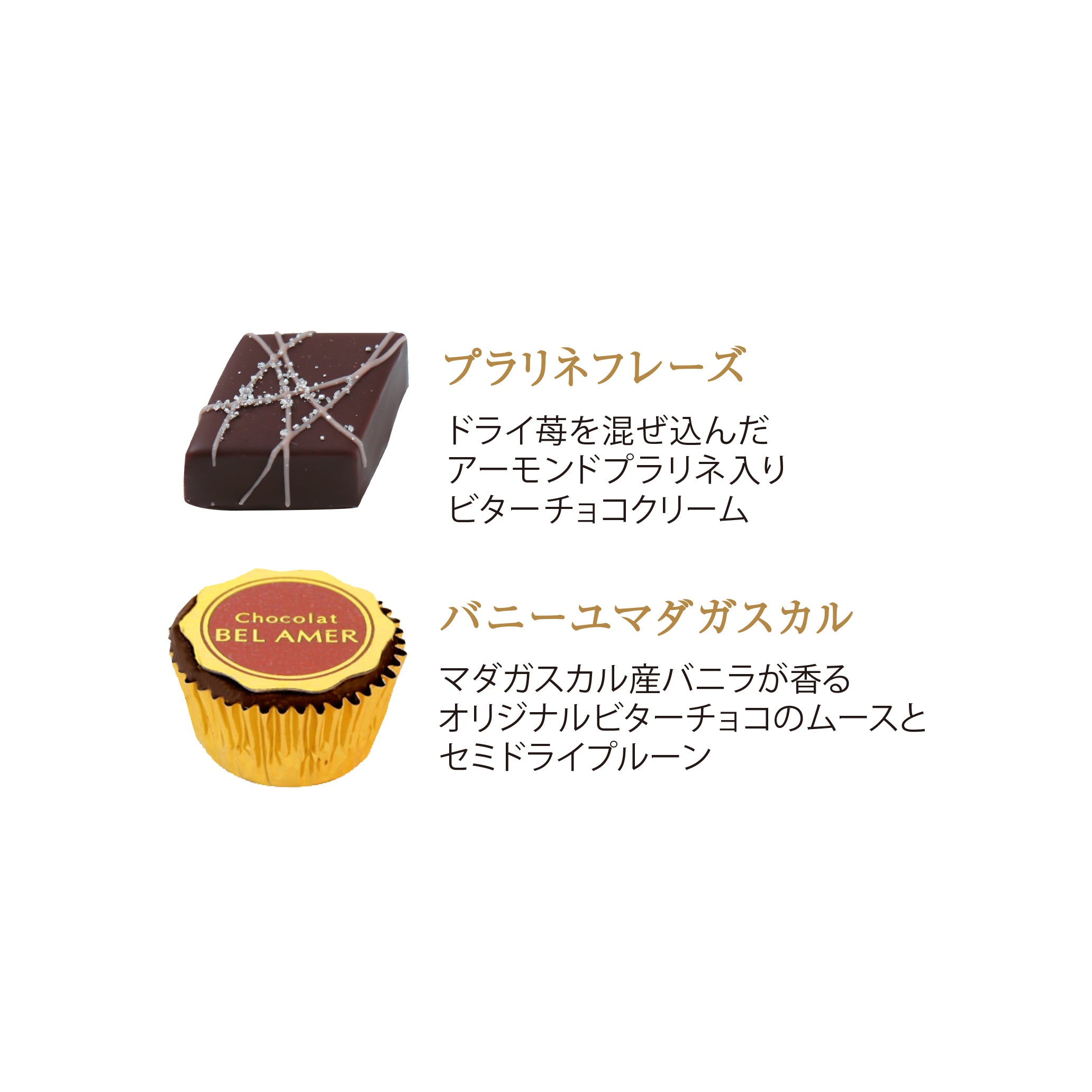 ショコラギフト 20個