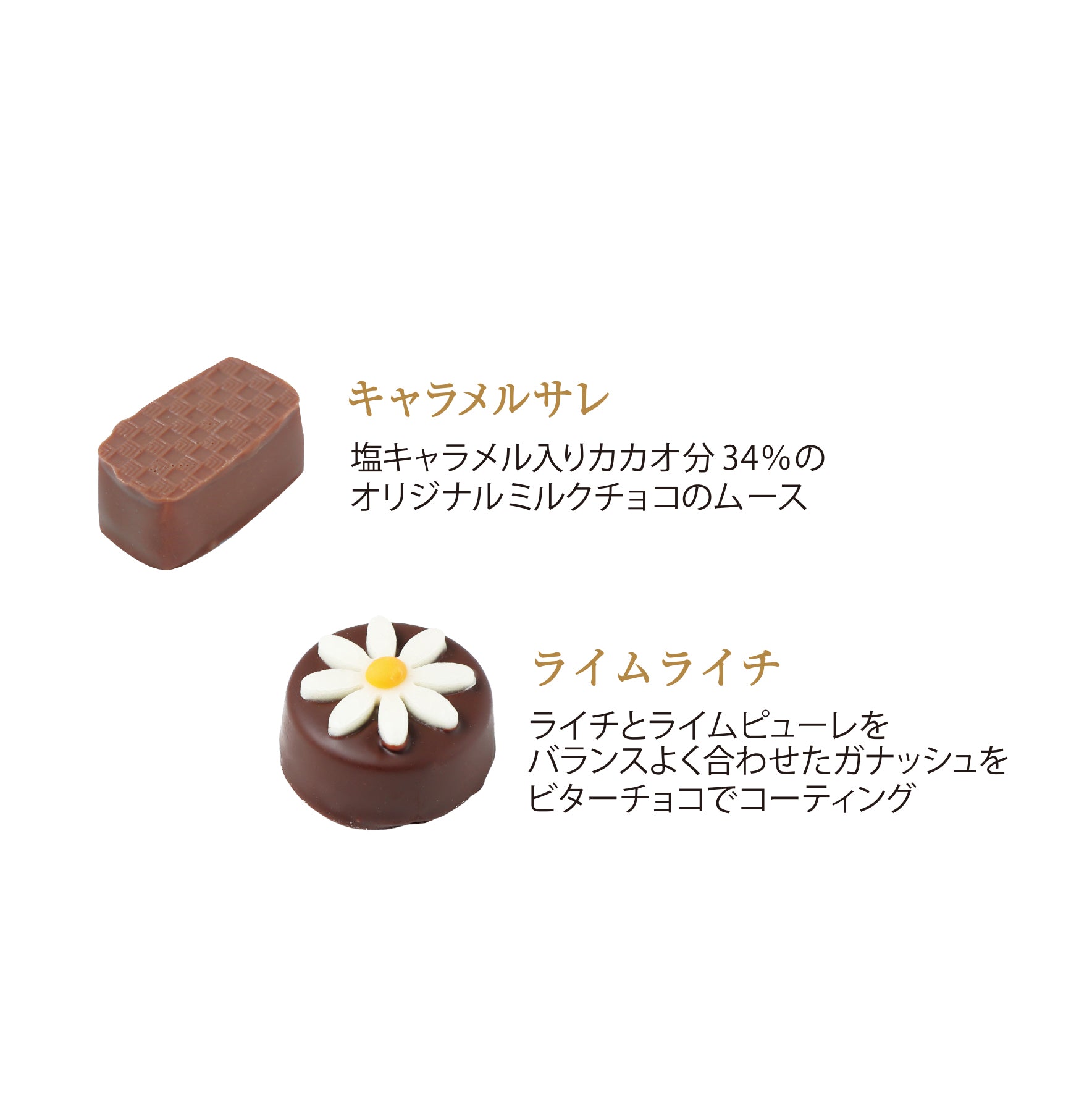 【予約受付中】ショコラギフト 10個