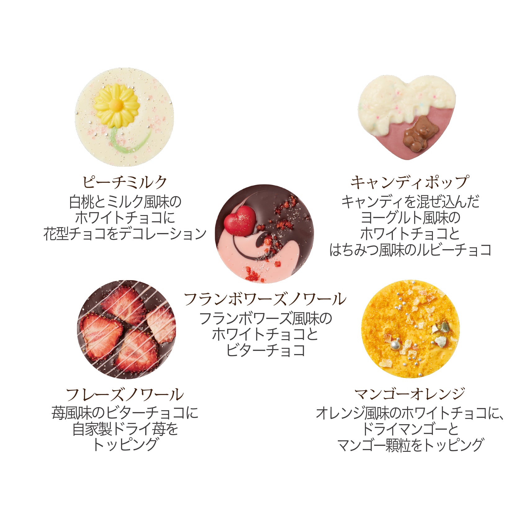 【予約受付中】パレショコラギフト 50枚