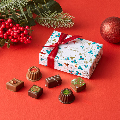 ノエルショコラ 6個