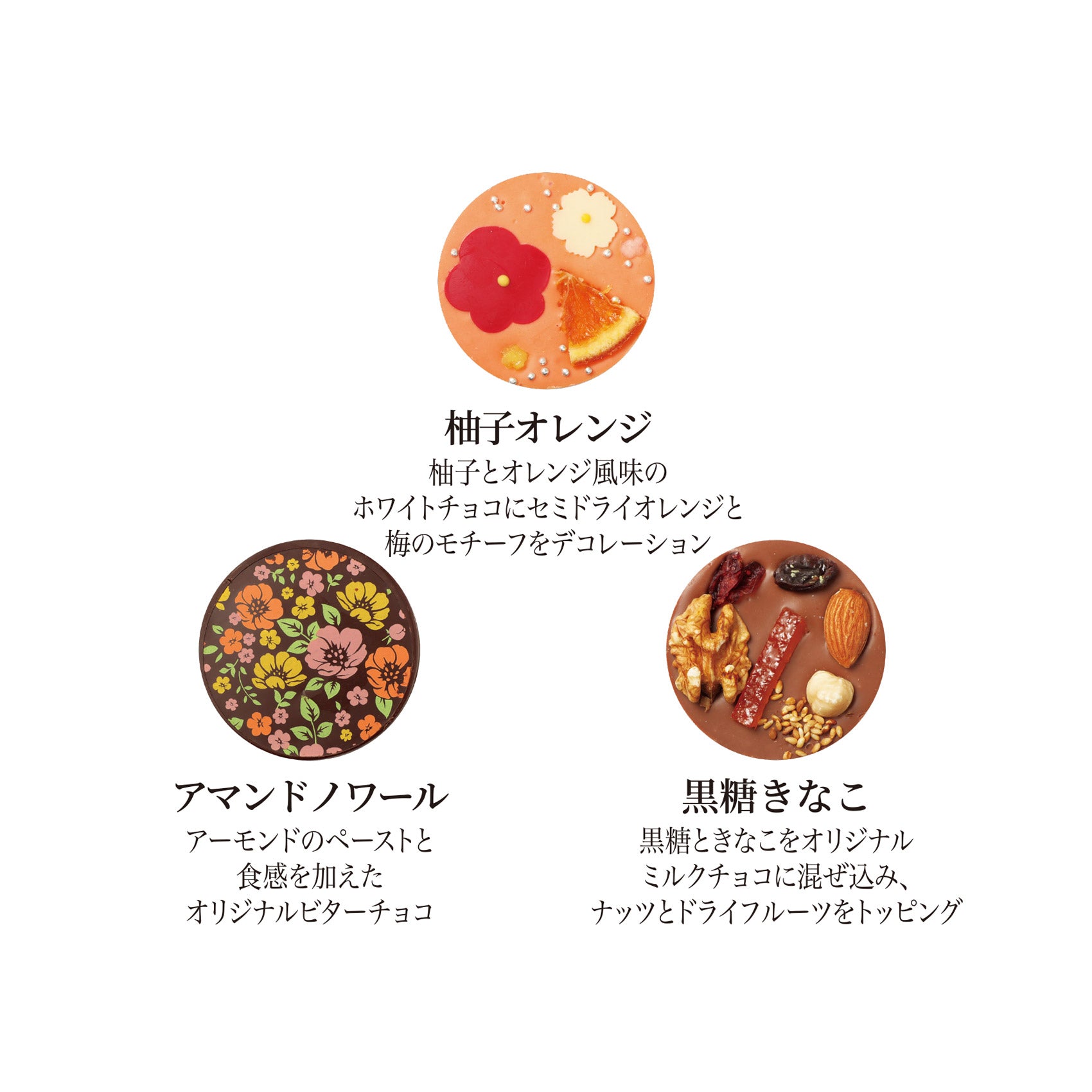 迎春パレショコラ 6枚