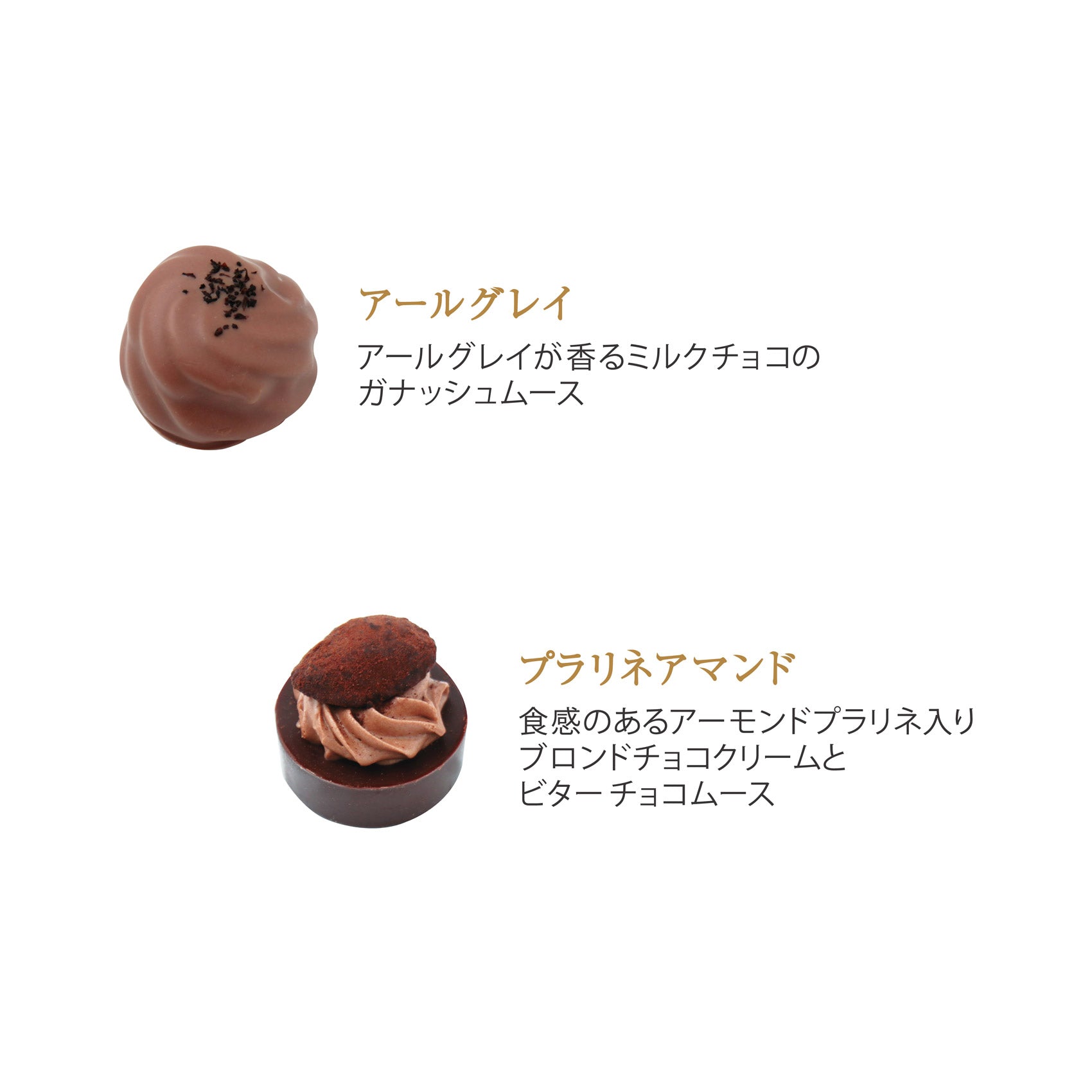 ショコラギフト 20個