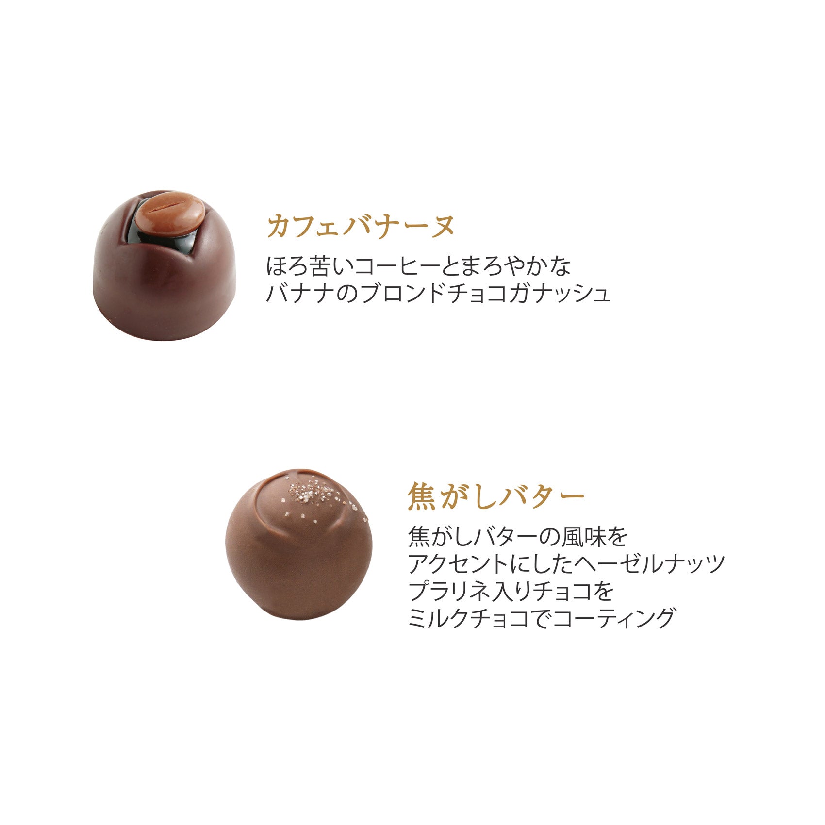 ショコラギフト 20個