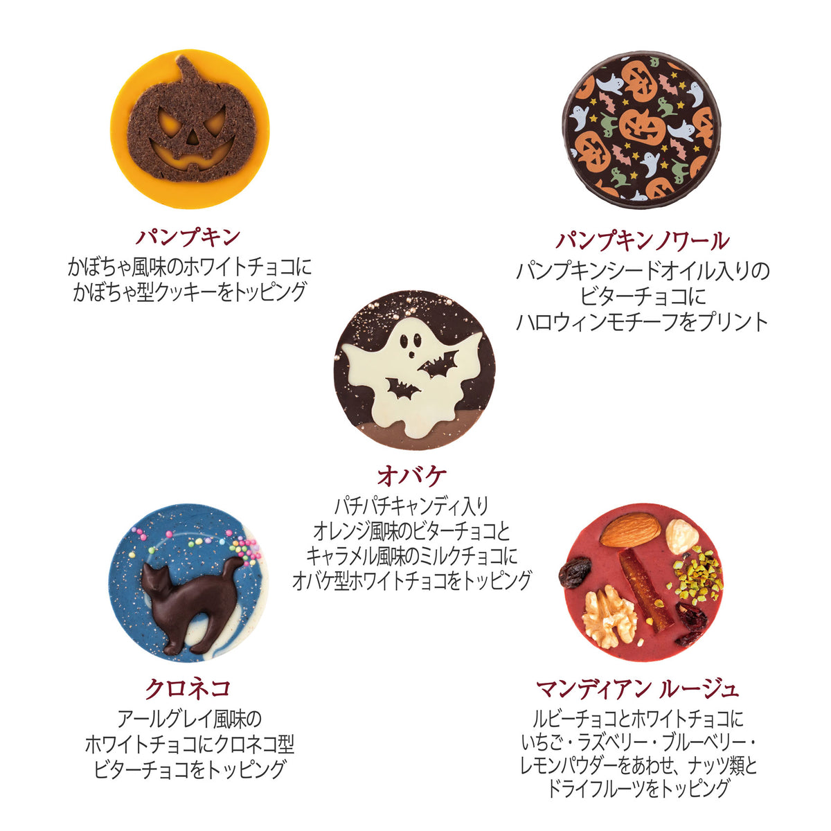 オータムパレショコラ 5枚