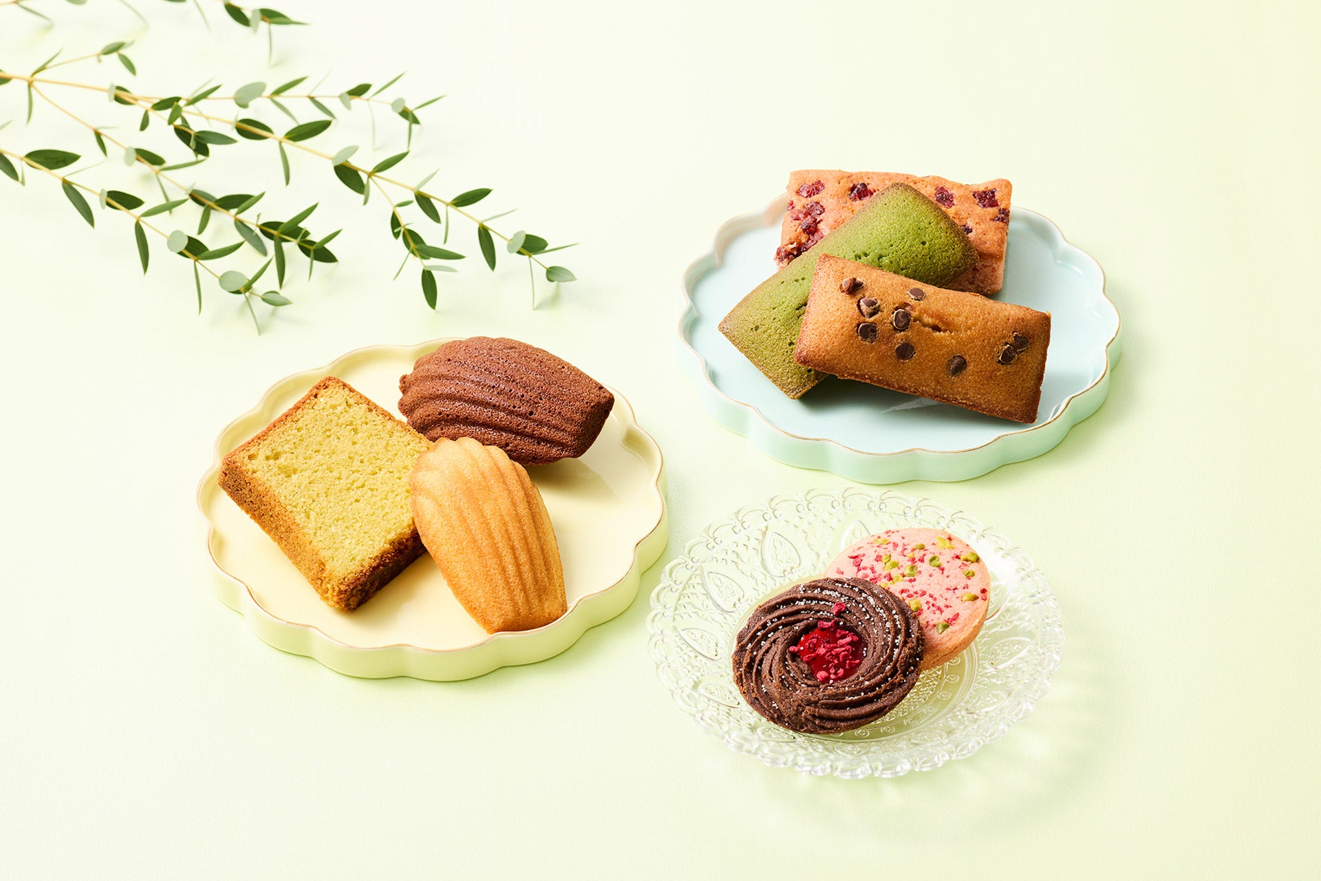 ガトーセレクションM 15個入 焼き菓子 洋菓子 ギフト プレゼント 熨斗