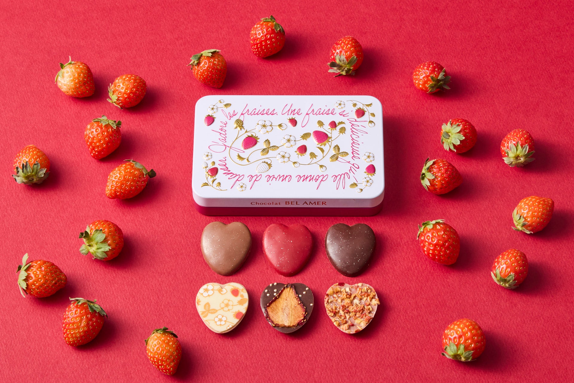 苺のミニマンディアン 6枚入 チョコレート バレンタイン ストロベリー