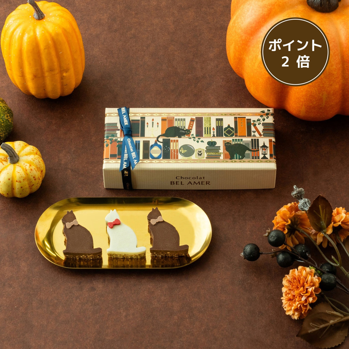 《ポイント2倍》キャットショコラ
