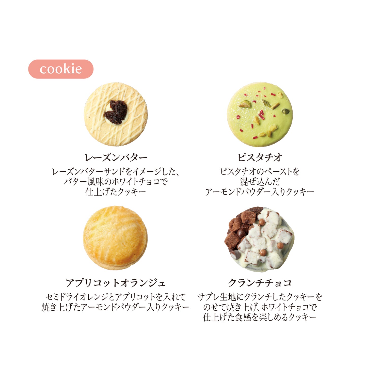 パレクッキー＆パレショコラ 12枚