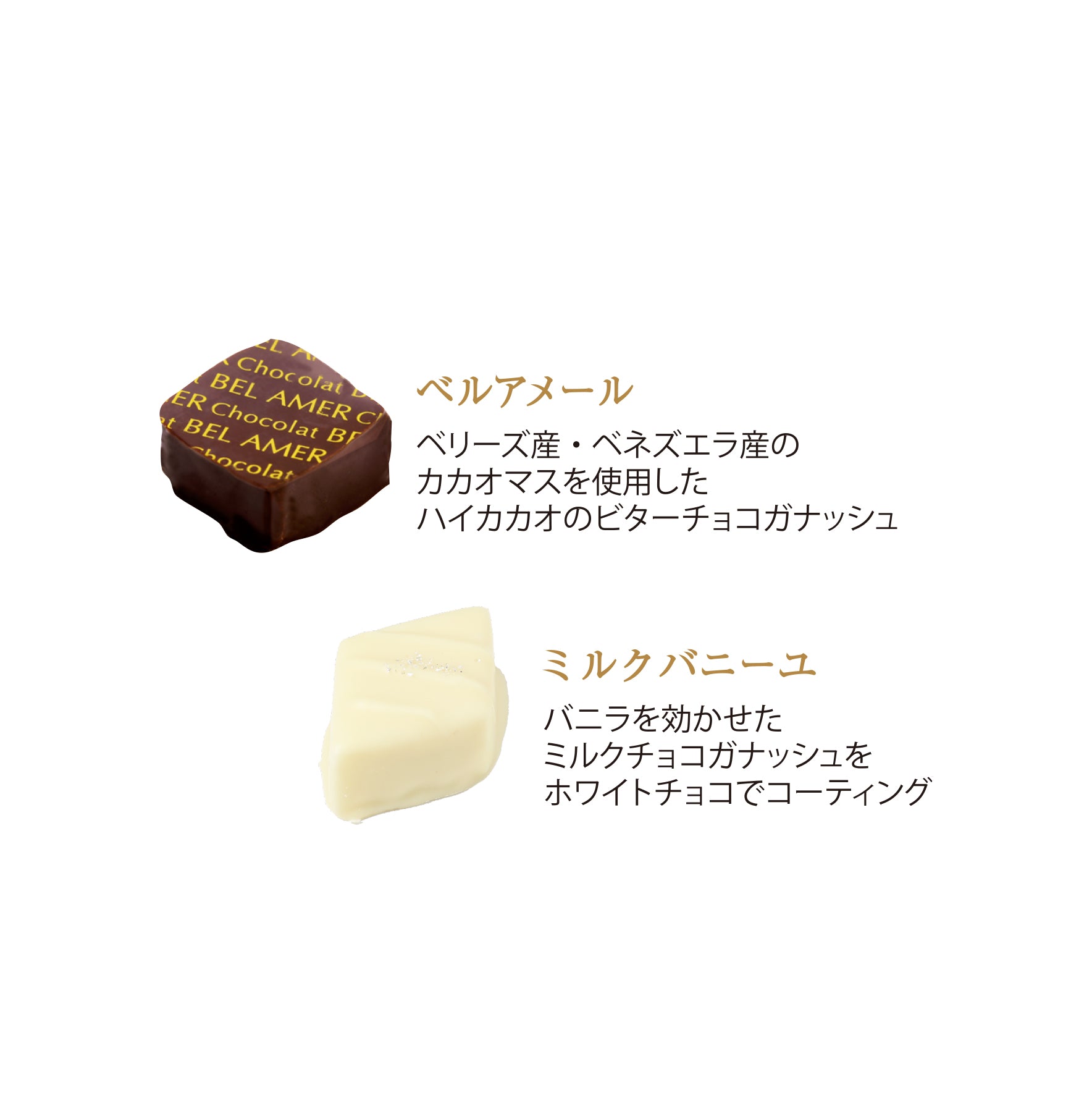 ショコラギフト 4個入 チョコレート ボンボンショコラ – ショコラ