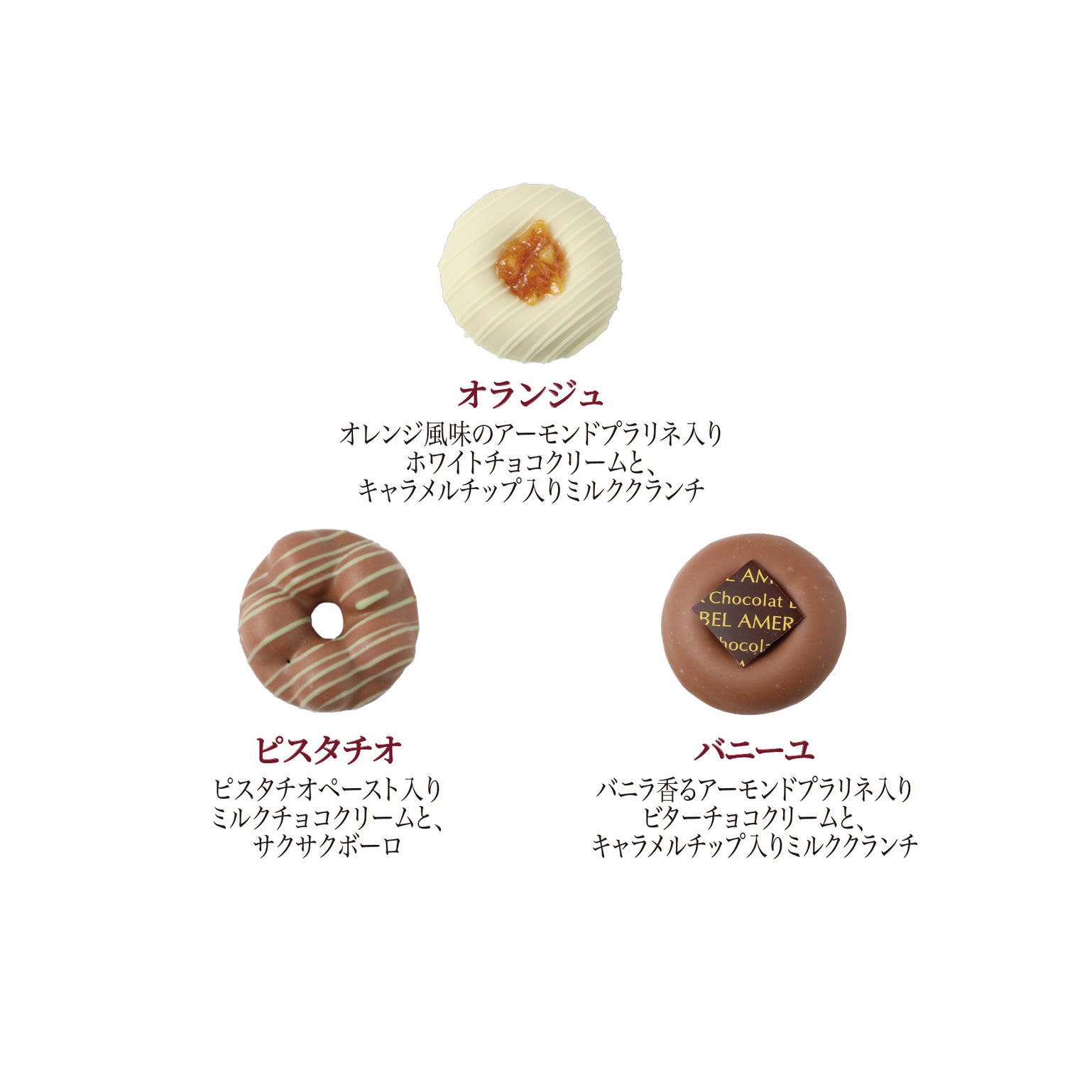 春のドーナツショコラ 6個