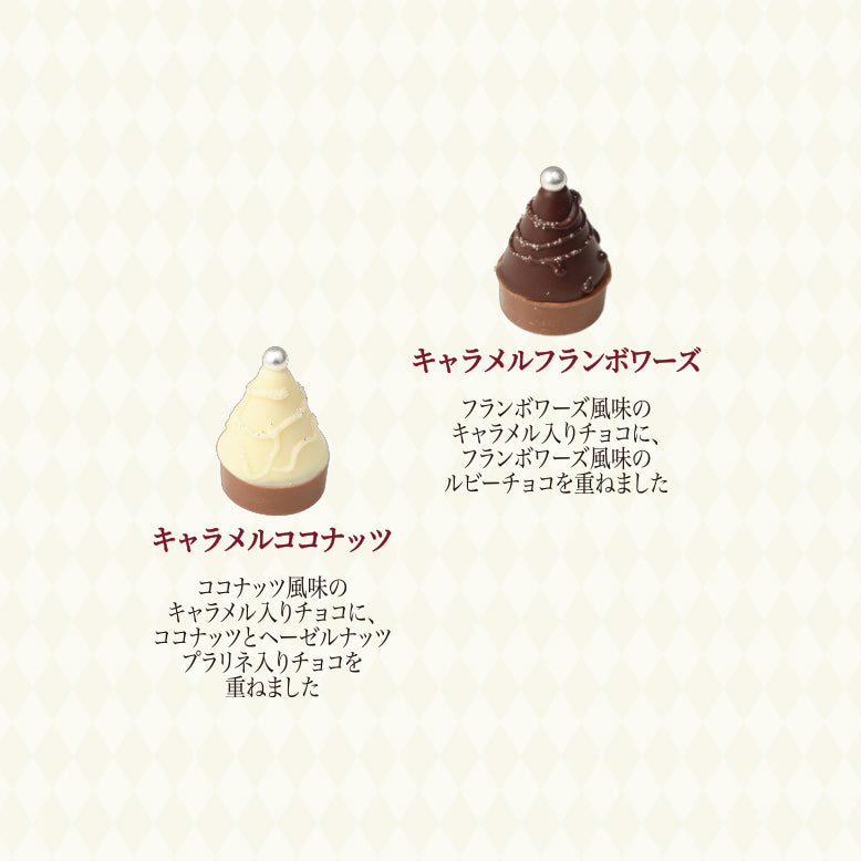 サパンドショコラ 5個入 クリスマス チョコレート ギフト プレゼント