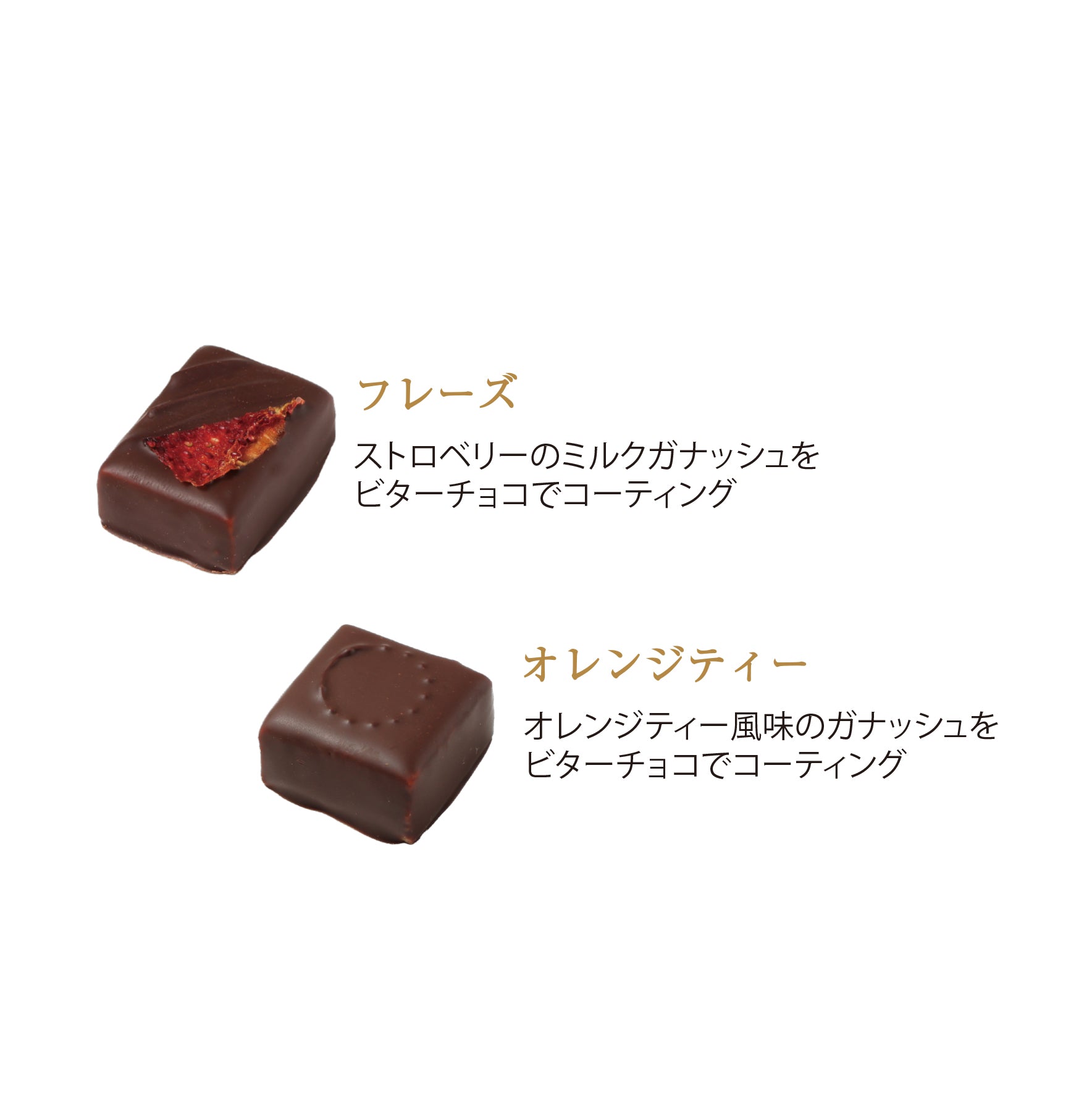 ショコラギフト 6個入 チョコレート ボンボンショコラ リボン掛け