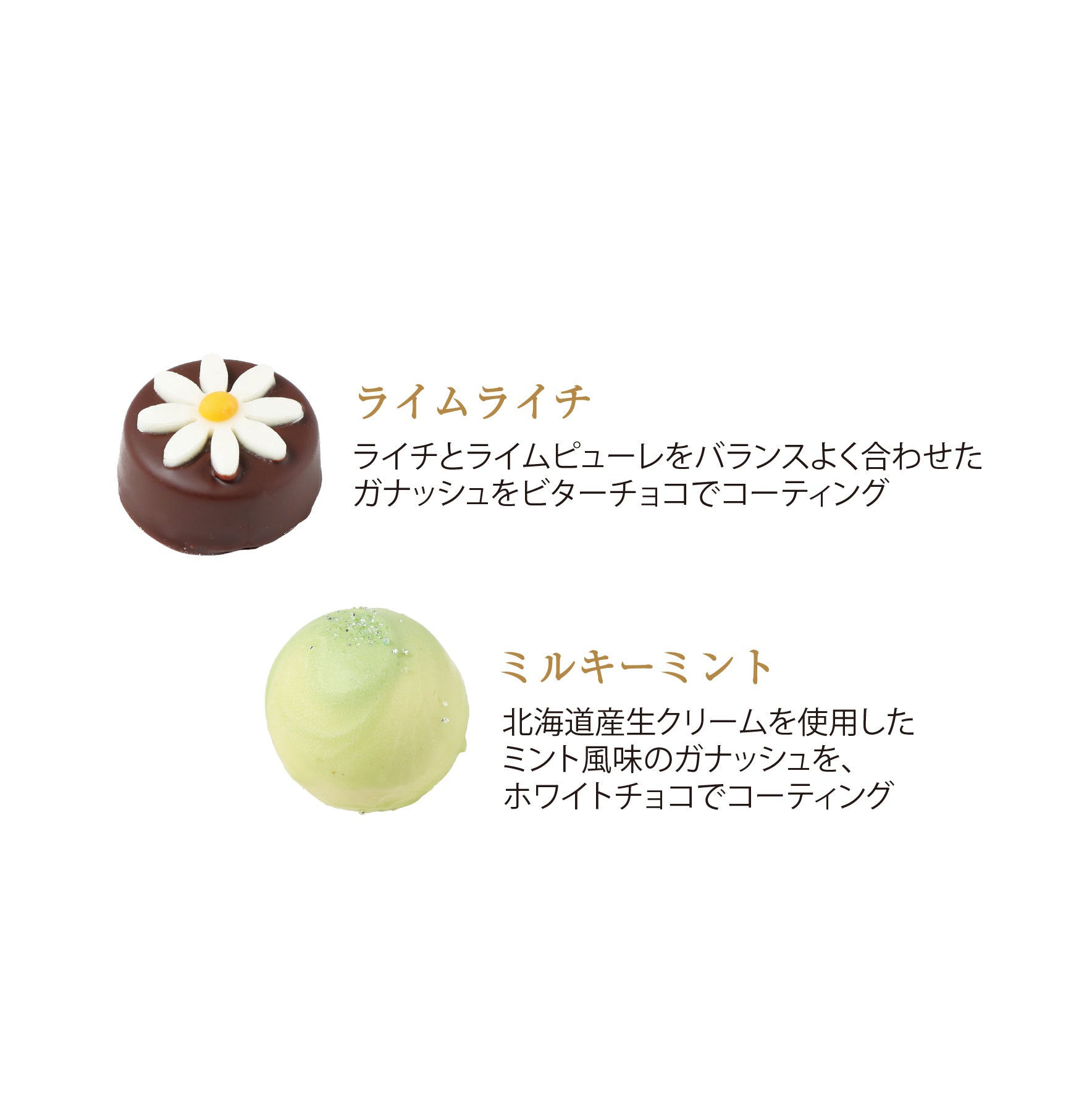 ショコラギフト 20個入 チョコレート ボンボンショコラ ギフト