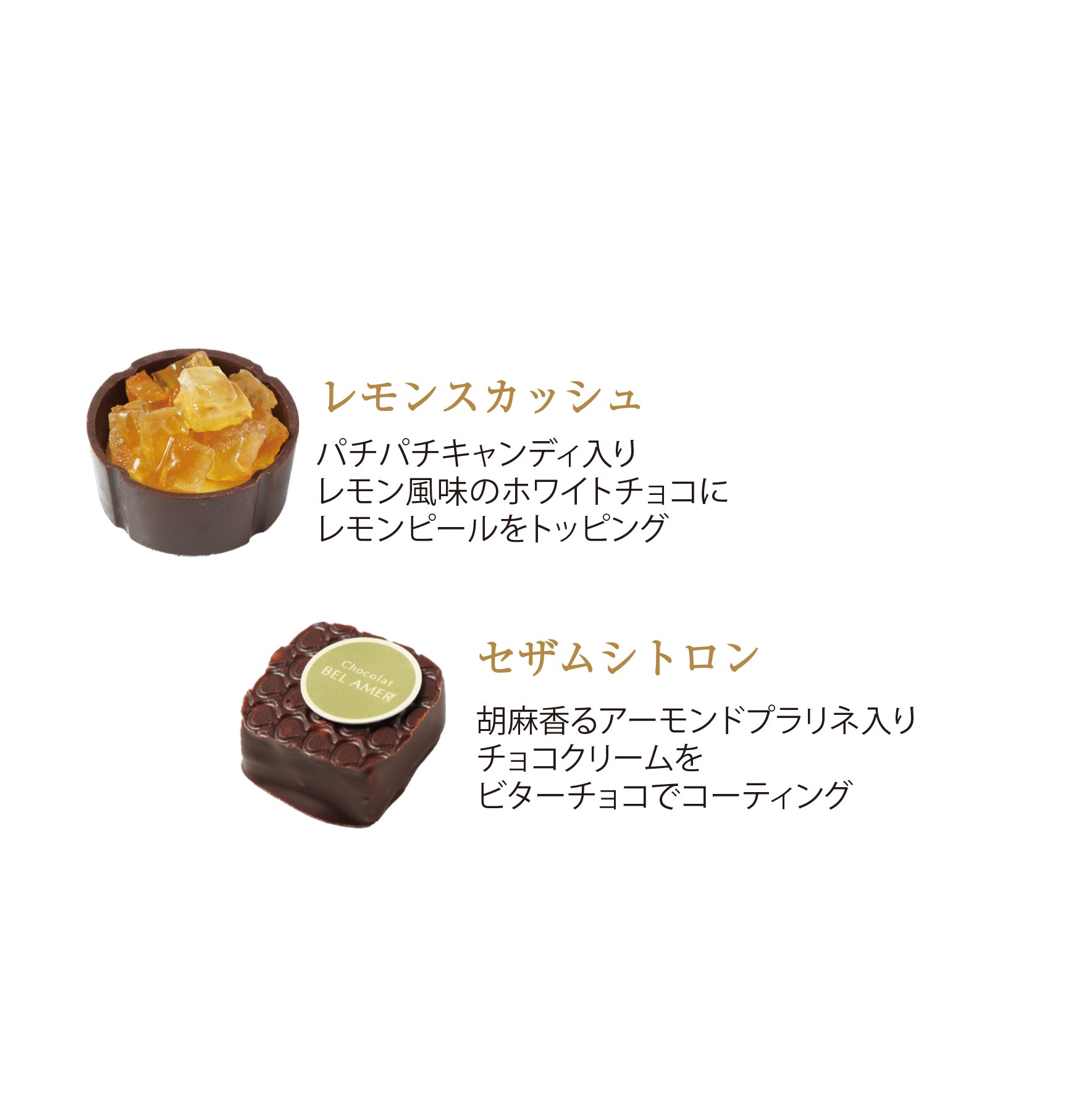 ショコラギフト 20個