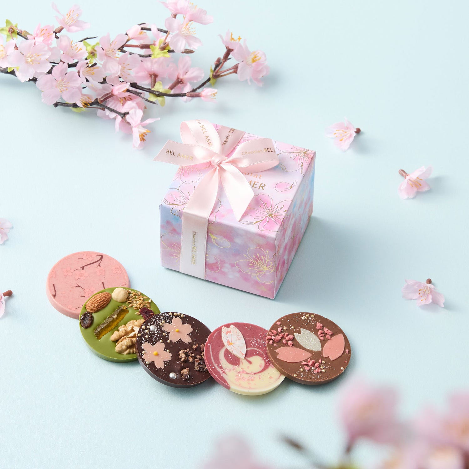 桜パレショコラ 5枚